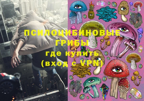 мдпв Новозыбков