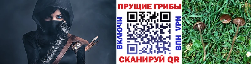ОМГ ОМГ сайт  Харовск  Галлюциногенные грибы Magic Shrooms 